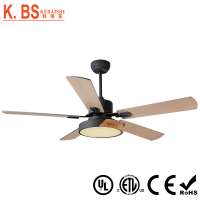 Simple Design National Electric Hunter Frosted Glass Lamp Decorative Ceiling Fan Light