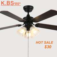 Ceiling Mounted Fans Glass Lamp LED Bulb Retractable Ceiling Fan Lights